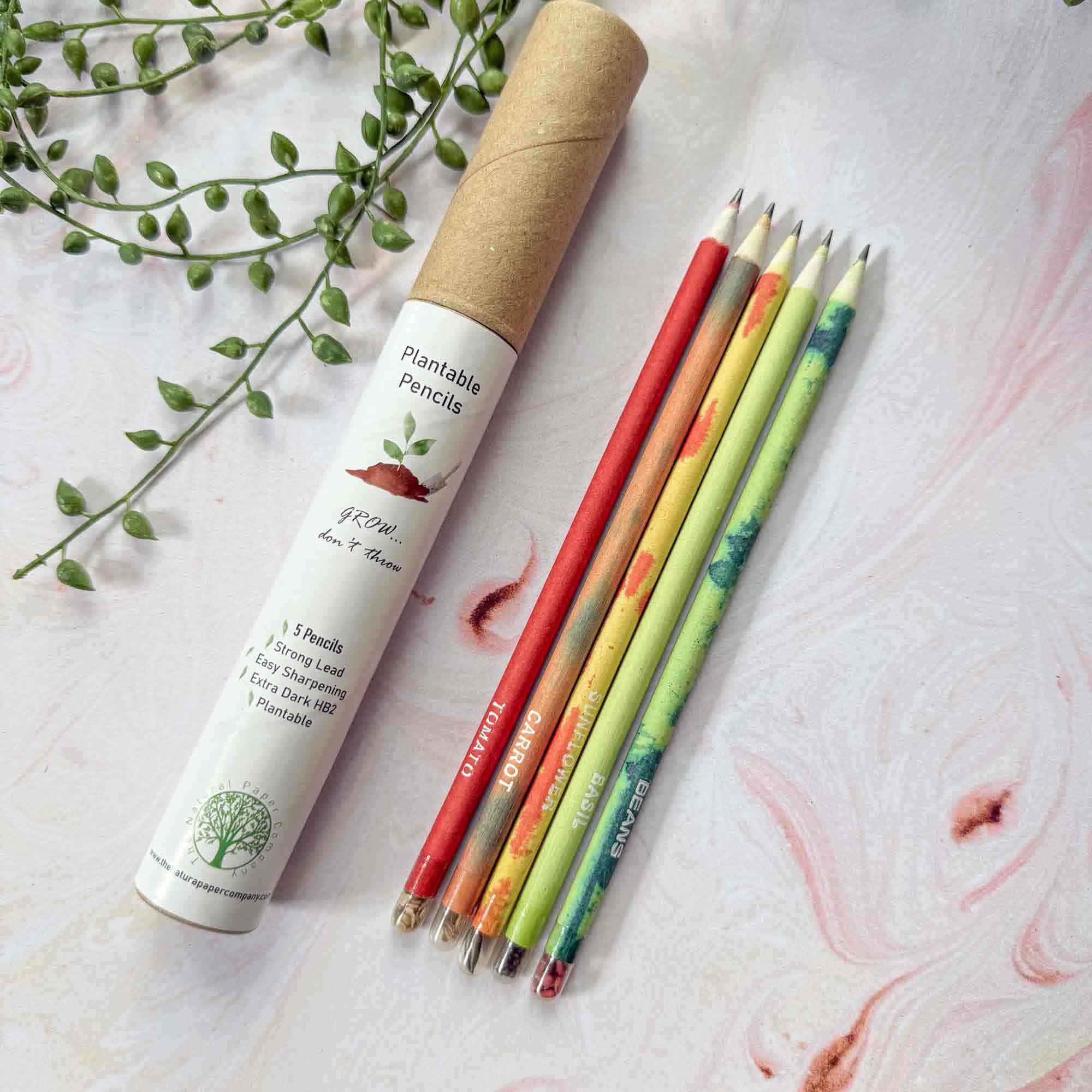 Plantable Pencils - Set of 5 | Tube of Recycled Paper Pencil