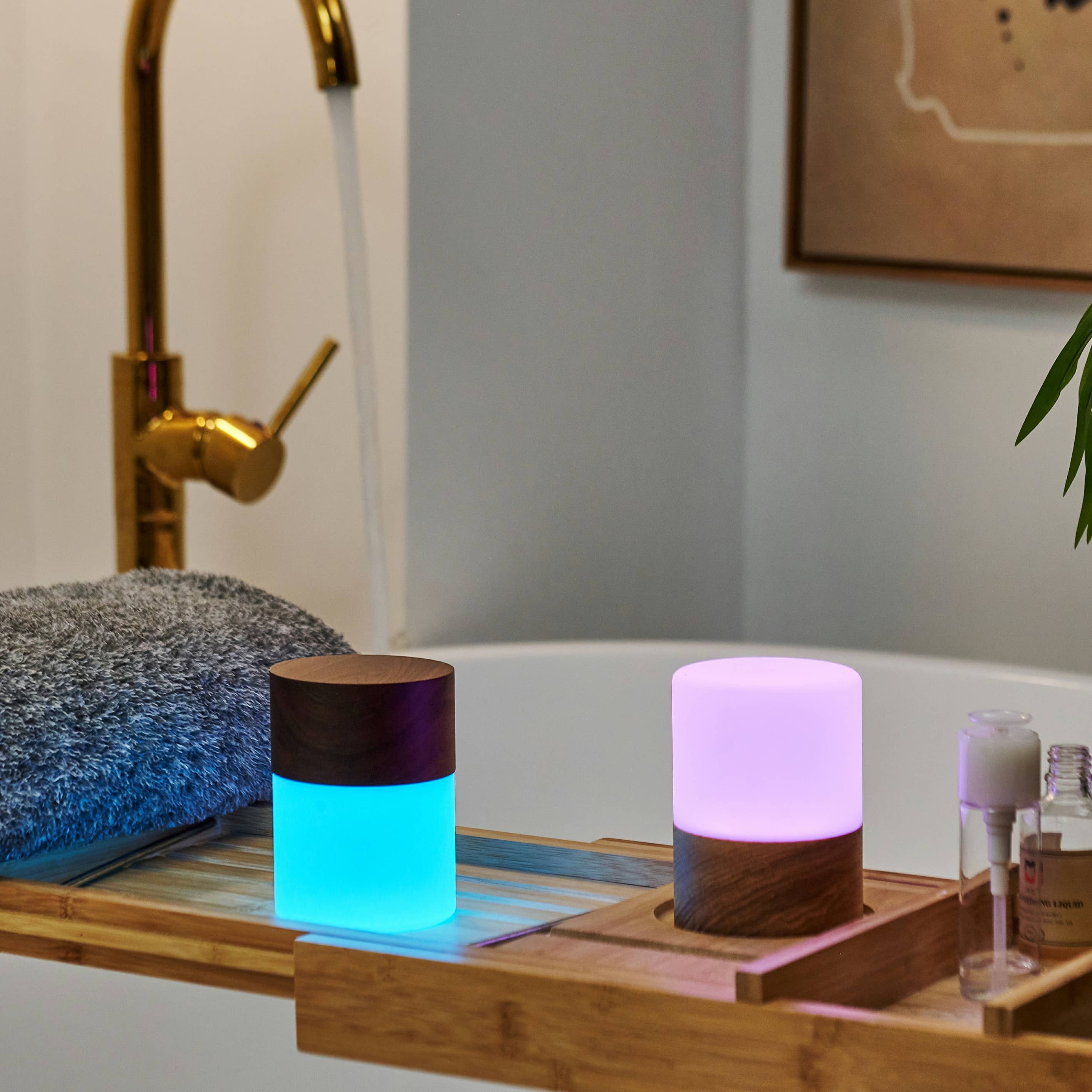 Lemelia Night Light: Black / Mini