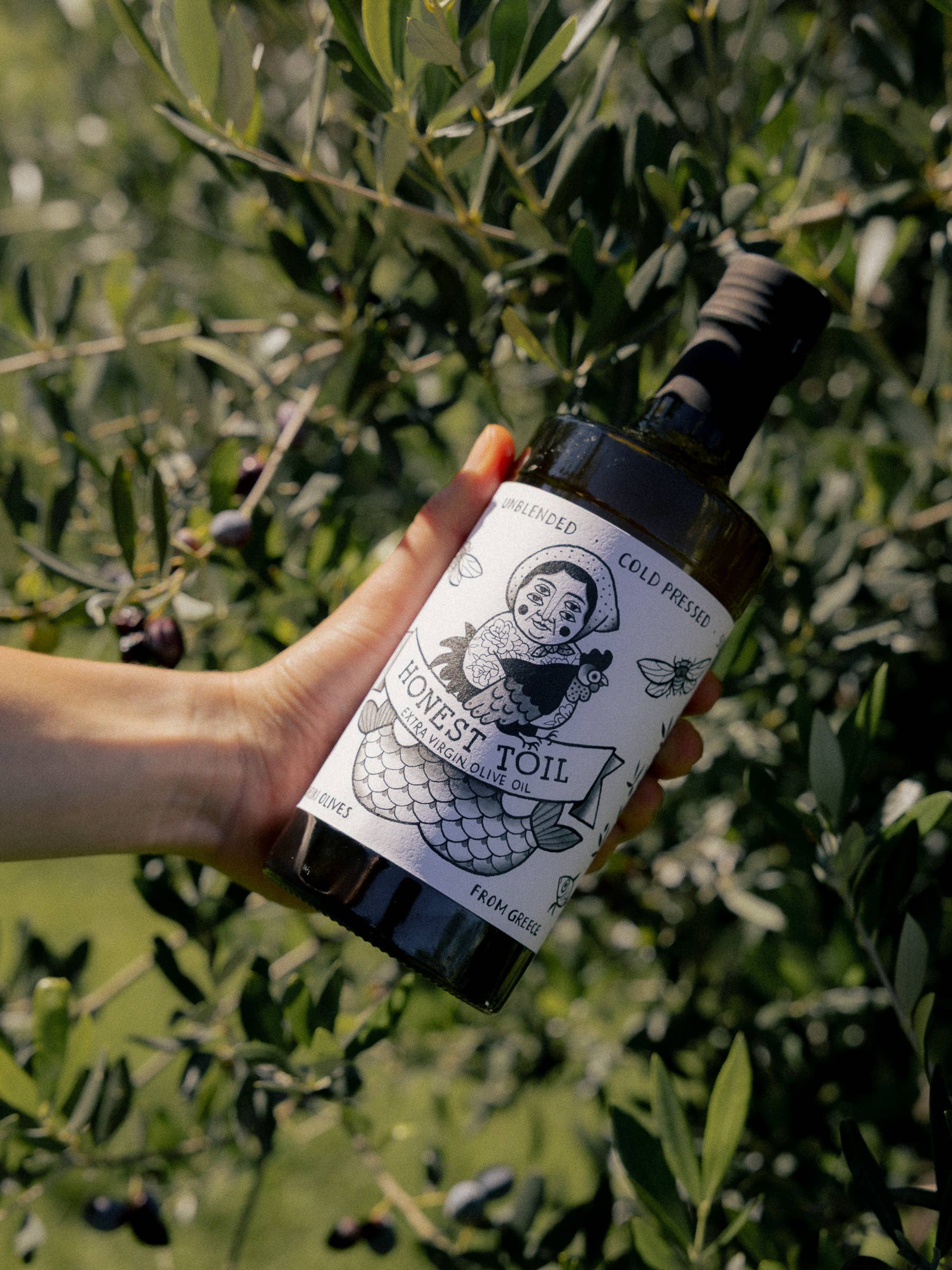 500ml bottle extra virgin olive oil - Nov 2025 Harvest
