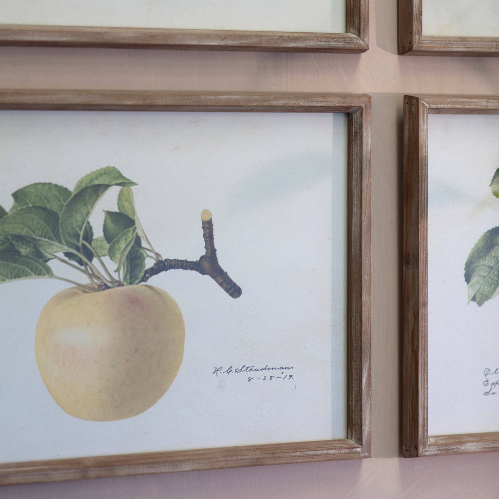 Croston Set of 4 Apple Framed Prints