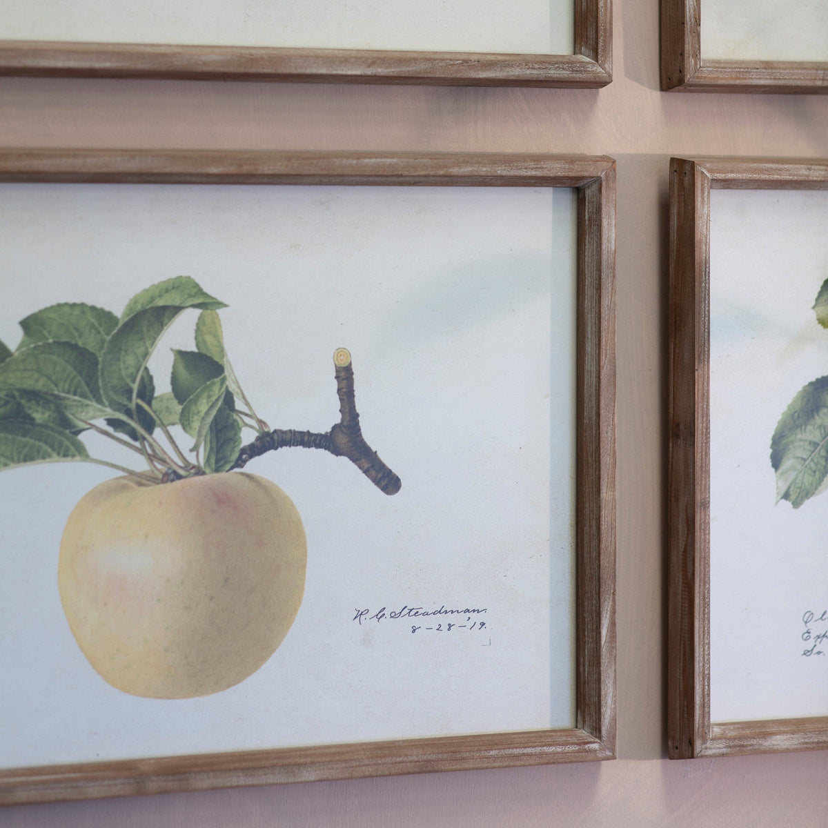 Croston Set of 4 Apple Framed Prints