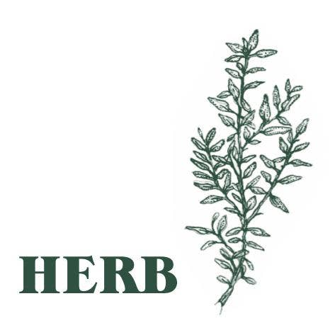 Green Botanical 20cl Candle : Rosehip