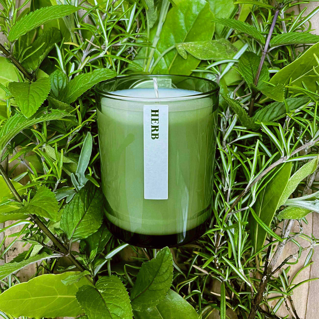 Green Botanical 20cl Candle : Rosehip