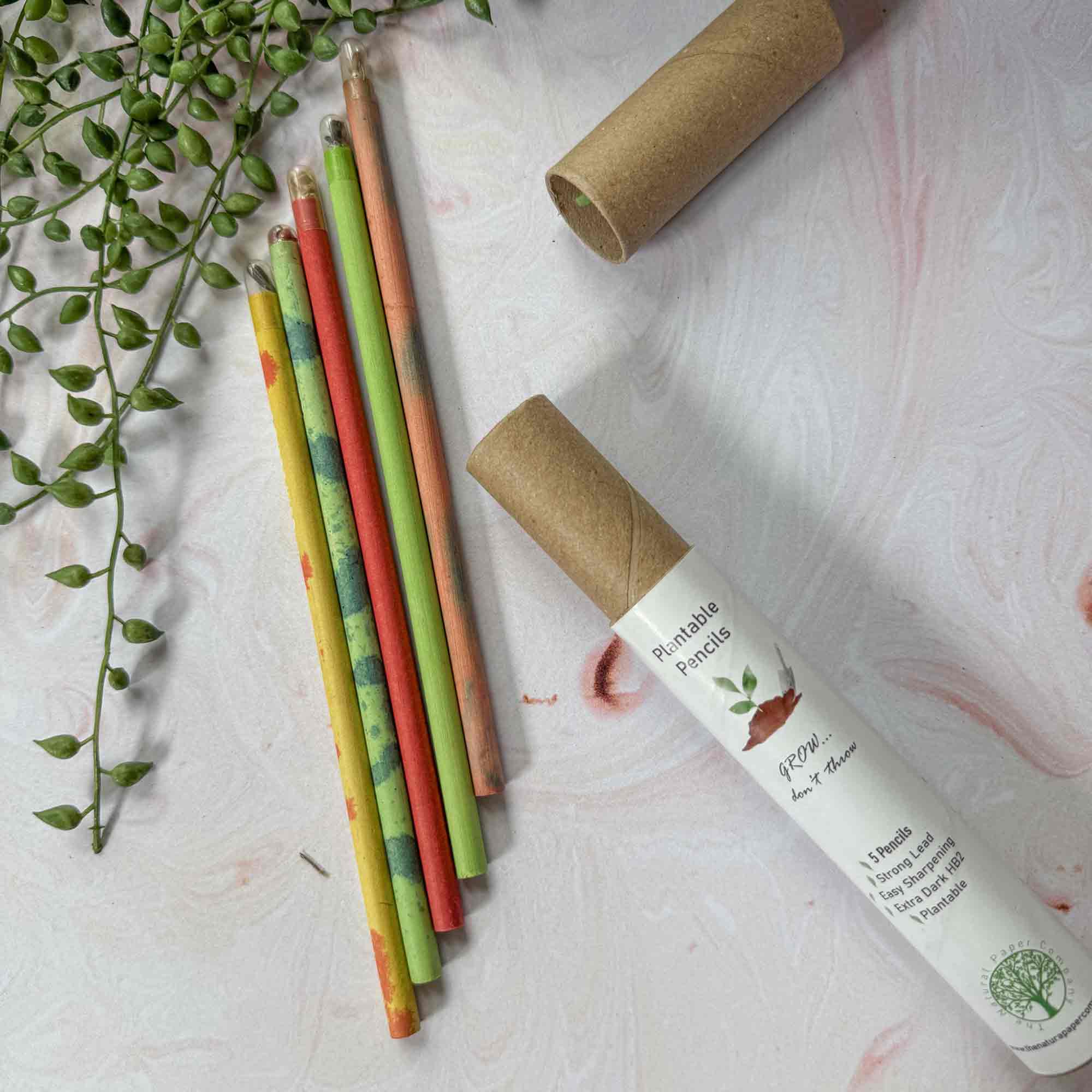 Plantable Pencils - Set of 5 | Tube of Recycled Paper Pencil