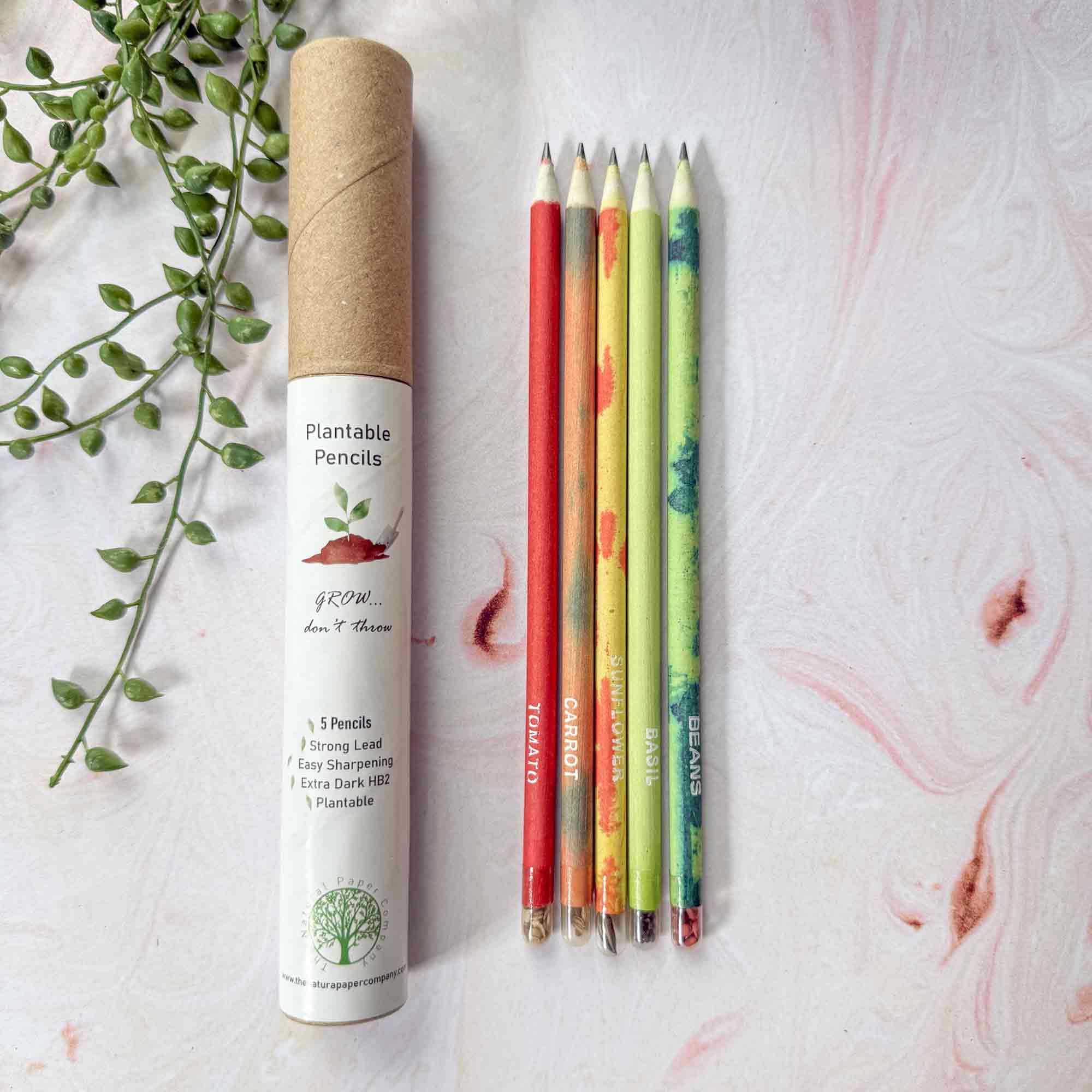 Plantable Pencils - Set of 5 | Tube of Recycled Paper Pencil