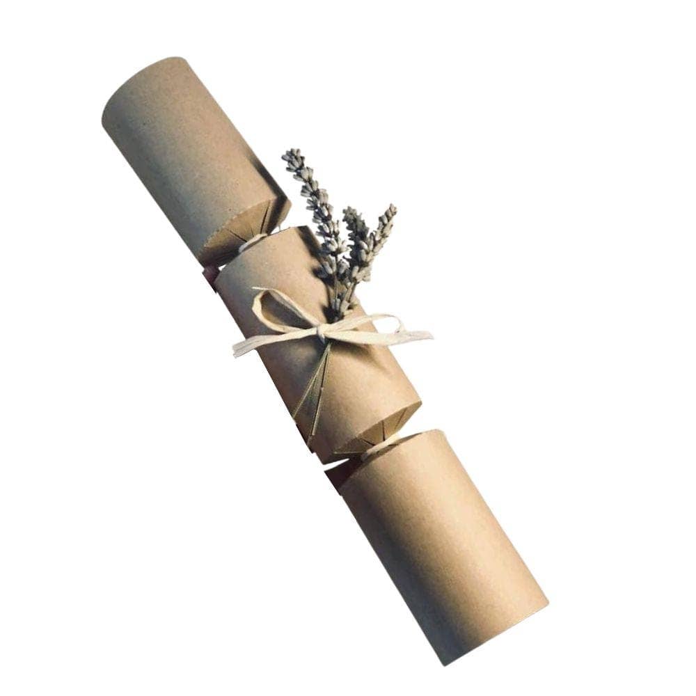 Kraft Brown Christmas Cracker Making Kit (6) - All Occasions