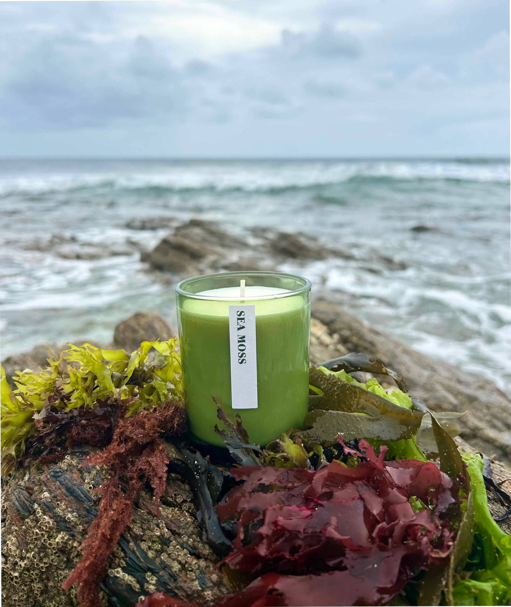 Green Botanical 20cl Candle : Rosehip