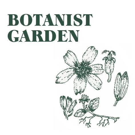 Green Botanical 20cl Candle : Ivy