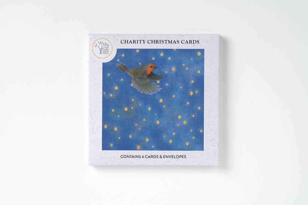 AGBI Christmas Card Pack - Night Flight