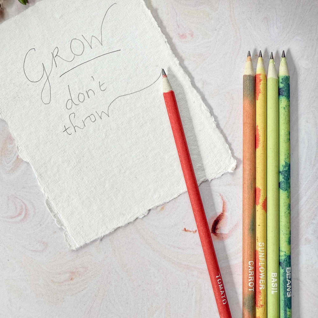 Plantable Pencils - Set of 5 | Tube of Recycled Paper Pencil