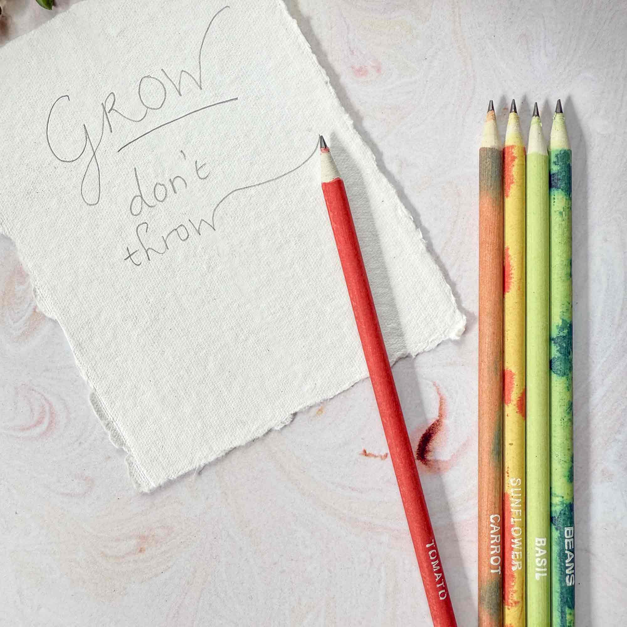 Plantable Pencils - Set of 5 | Tube of Recycled Paper Pencil