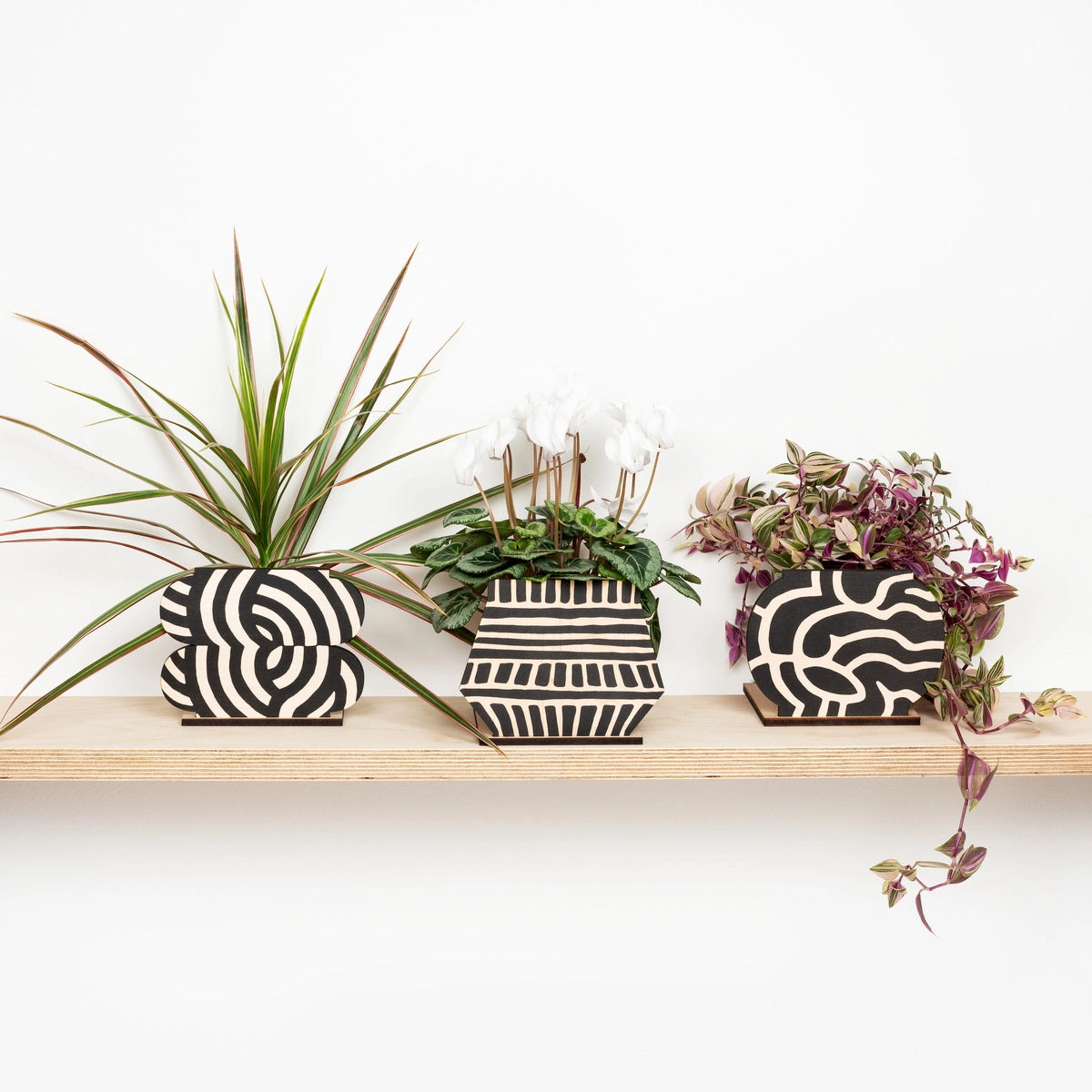 Pot Screen -Shapes