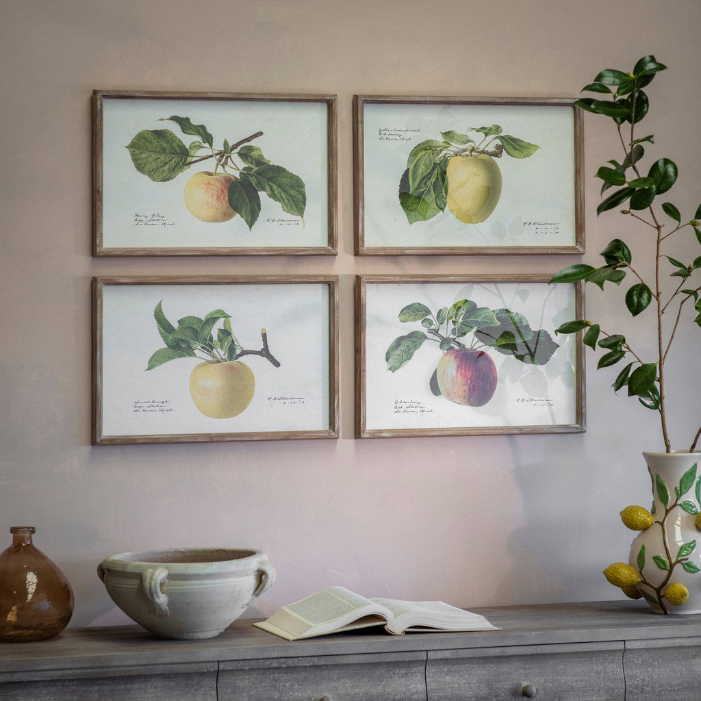 Croston Set of 4 Apple Framed Prints