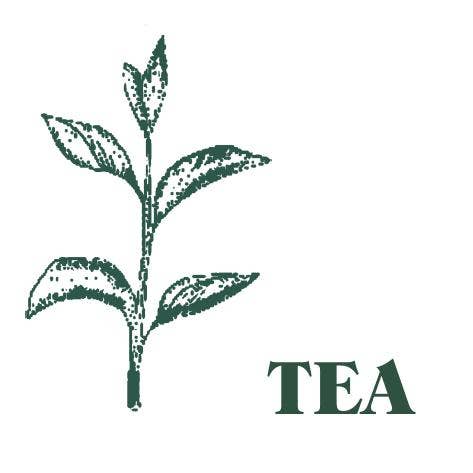 Green Botanical 20cl Candle : Rosehip