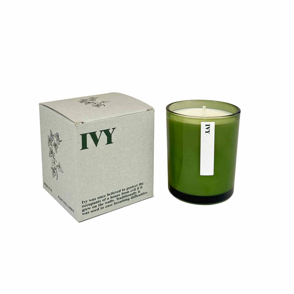 Green Botanical 20cl Candle : Rosehip