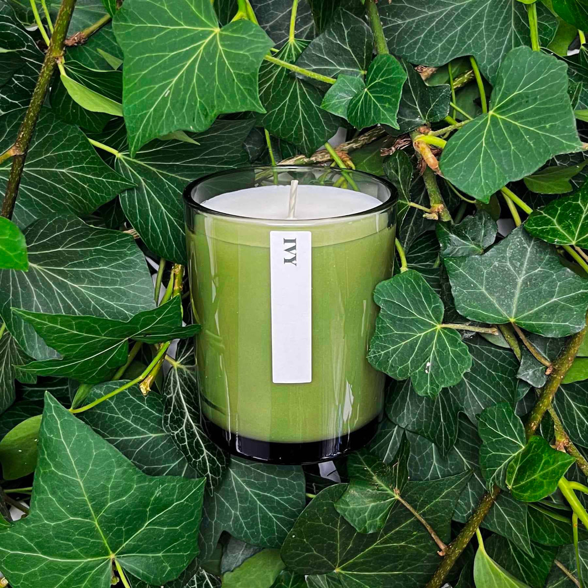 Green Botanical 20cl Candle : Rosehip