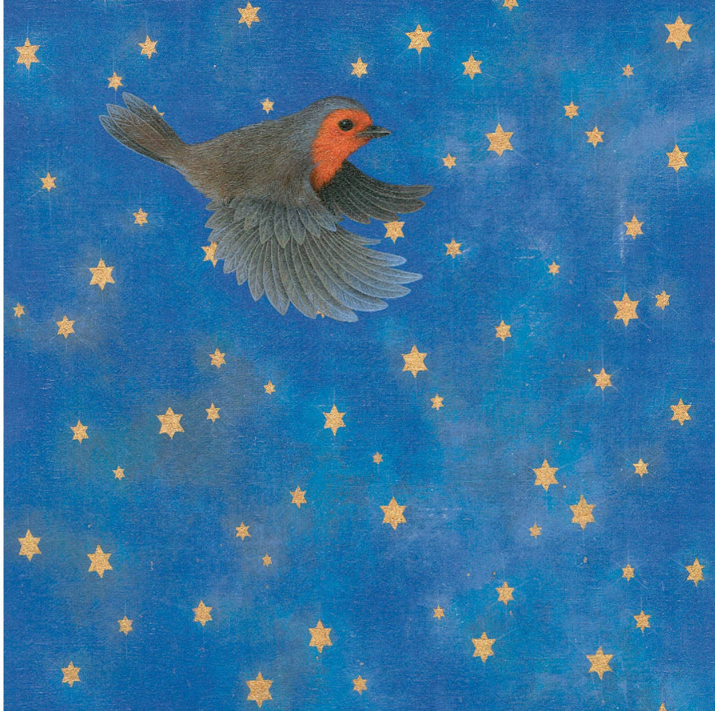 AGBI Christmas Card Pack - Night Flight