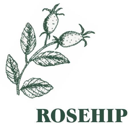 Green Botanical 20cl Candle : Rosehip