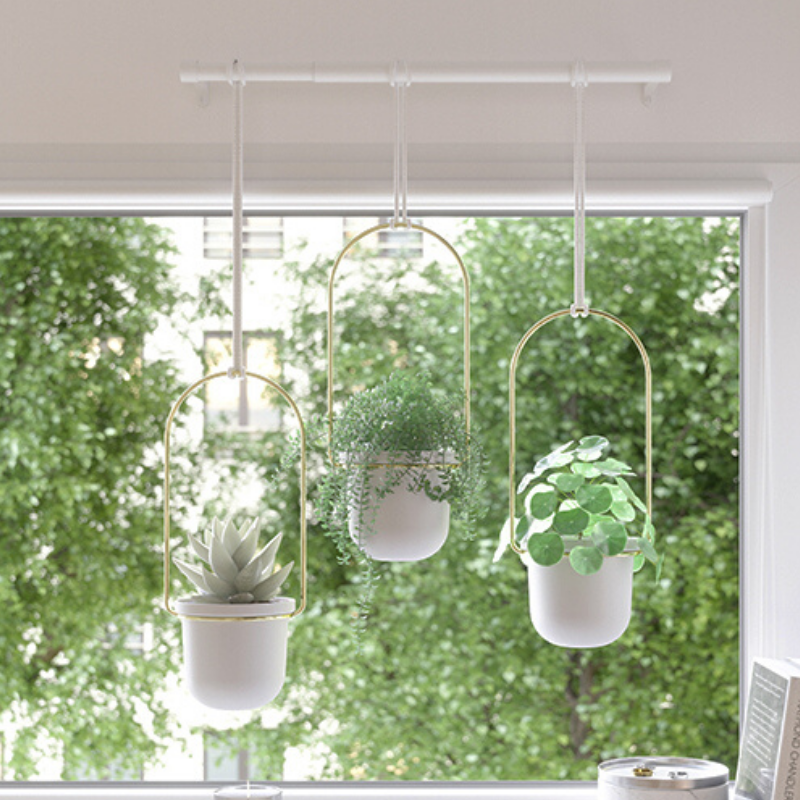 Triflora Hanging Planters, Set of 3