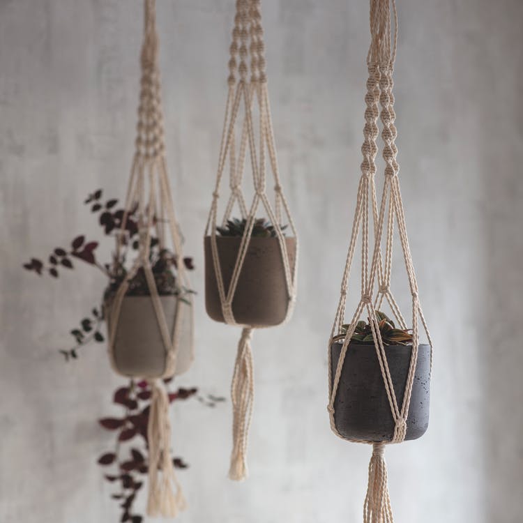 Crochet Plant Pot Hanger