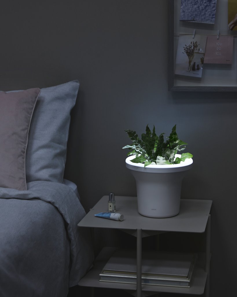 Ora Illuminated Planter